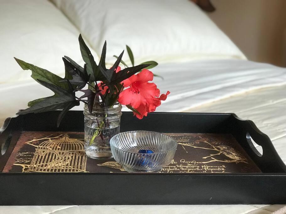 Hau'Oli Place Tiki Cottage In فولكانو المظهر الخارجي الصورة