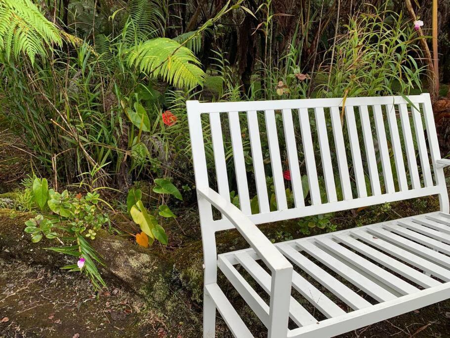 Hau'Oli Place Tiki Cottage In فولكانو المظهر الخارجي الصورة